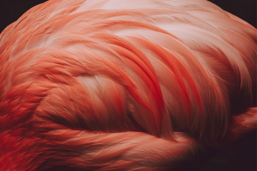 Vegan Halal-Friendly Hair Color